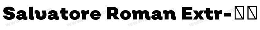 Salvatore Roman Extr字体转换